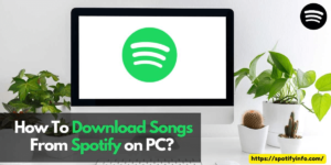 Download Spotify Songs on PC